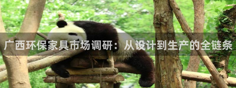 沐鸣2官方网