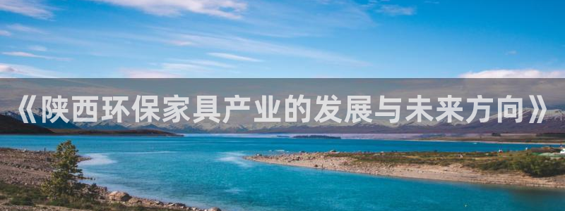 沐鸣2代理注册中心：《陕西环保家具产业的发展与未来方向》