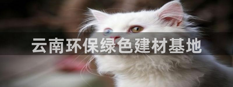 沐鸣2平台服务中心是干嘛的：云南环保绿色建材基地