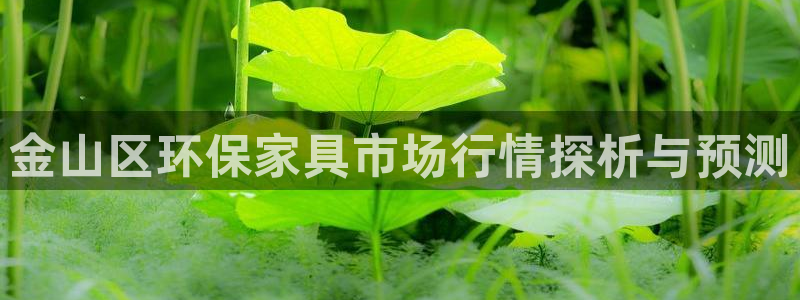 沐鸣2平台在哪里