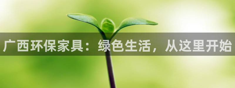 沐鸣2测速网址电脑版：广西环保家具：绿色生活，从这里开始