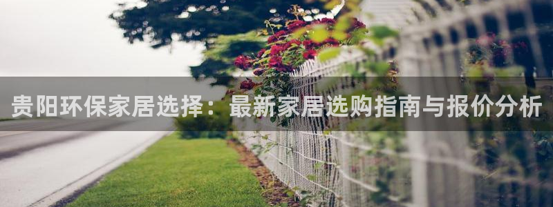 沐鸣2平台手机app：贵阳环保家居选择：最新家居选购指南与报