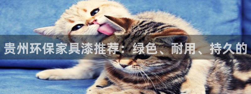沐鸣2平台登陆官网