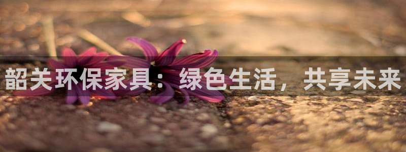 沐鸣2平台待遇：韶关环保家具：绿色生活，共享未来