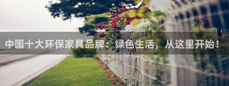 沐鸣2测速网址电脑版：中国十大环保家具品牌：绿色生活，从这里