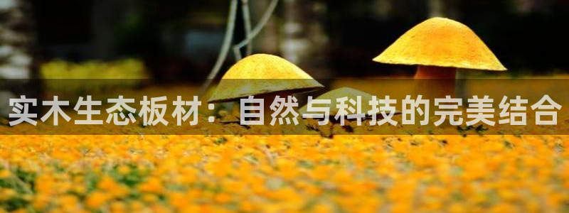 沐鸣2平台手机登录